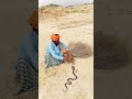 Snake Charmers are REAL! 😲