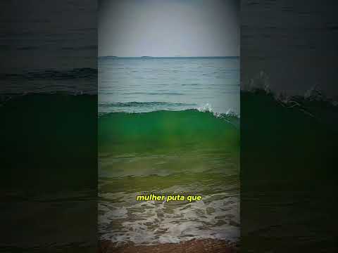 cardume de peixes vila velha Espírito Santo