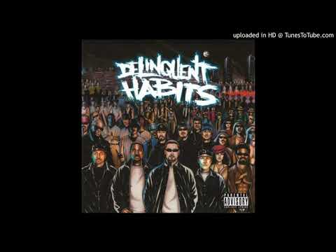 13 Underground Connection (feat.Hurricane G) l Delinquent Habits l Self Titled