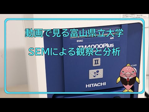 富山県立大学　動画で見る県大　SEMによる観察と分析