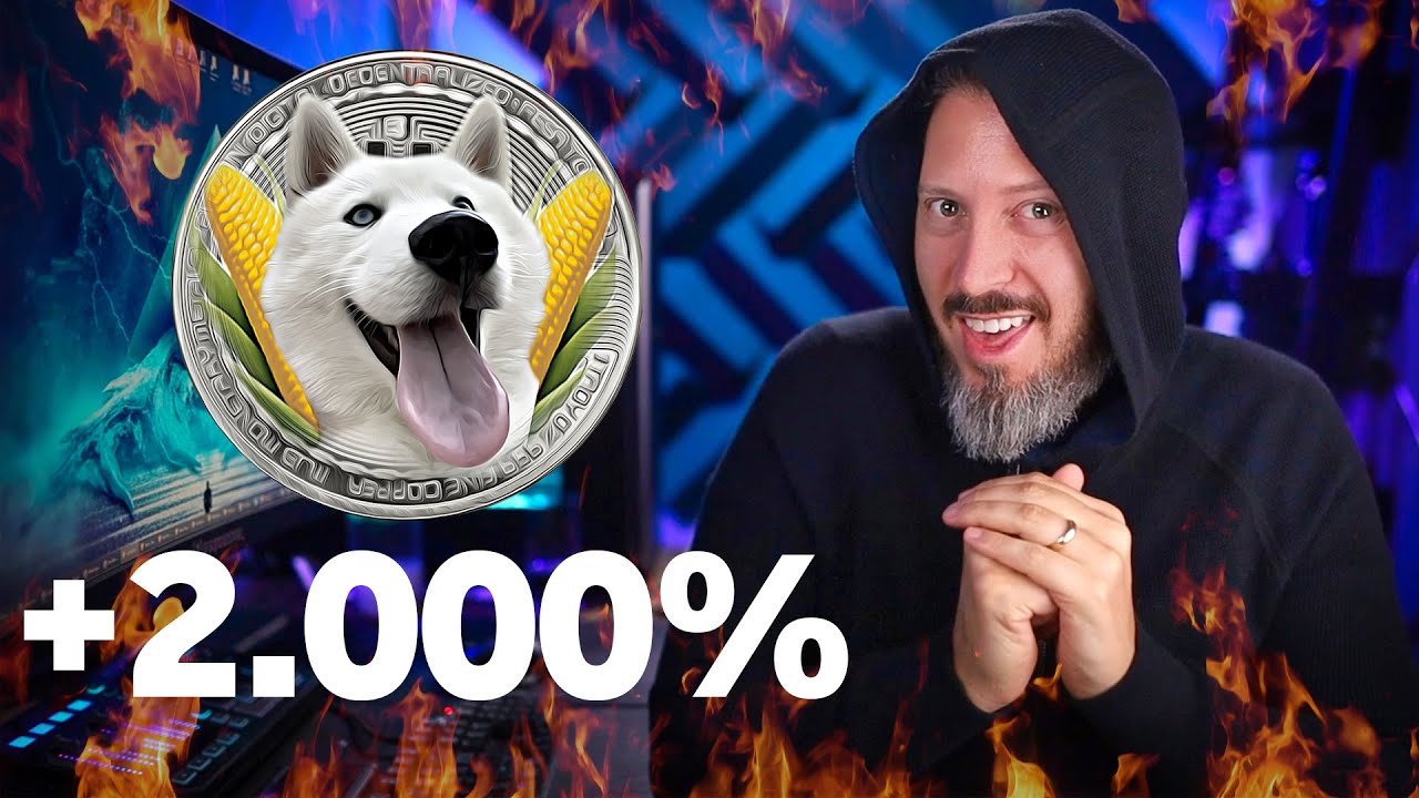 Moedas Meme Fazem Sentido? Veja Como É Fácil Criar Uma Em 30 Segundos