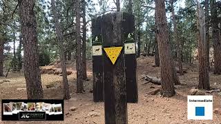 Fun downhill riding this trail counter clockwise.