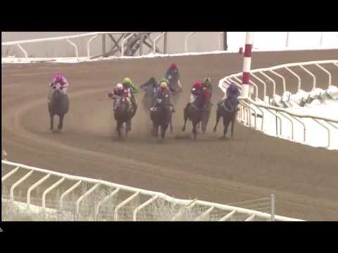 14 feb 2016, lopp 4   My Alibi