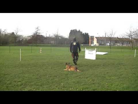 Lipton du bois de saint landelin