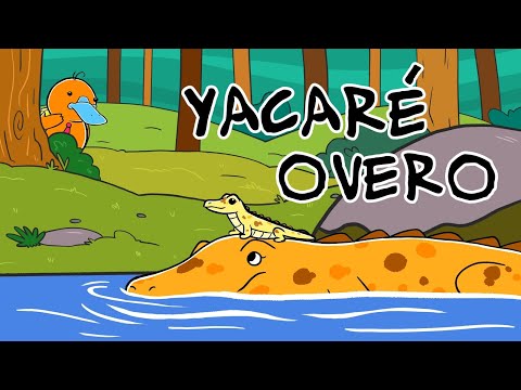 Hola Flinko - Yacaré Overo / Capítulo 6 Completo Temporada 1