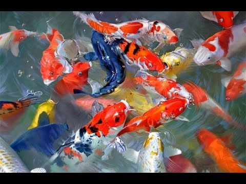 download lagu mp3 mp4 Koi Dubai, download lagu Koi Dubai gratis, unduh video klip Koi Dubai