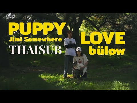 bülow, Jimi Somewhere - Puppy Love [แปลไทย]