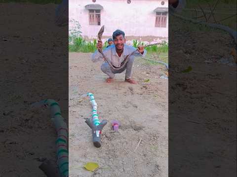 बिल से निकलता सांप 😂😂 #shorts #trending #youtubeshorts #viral #short #ytshorts #shortsfeed