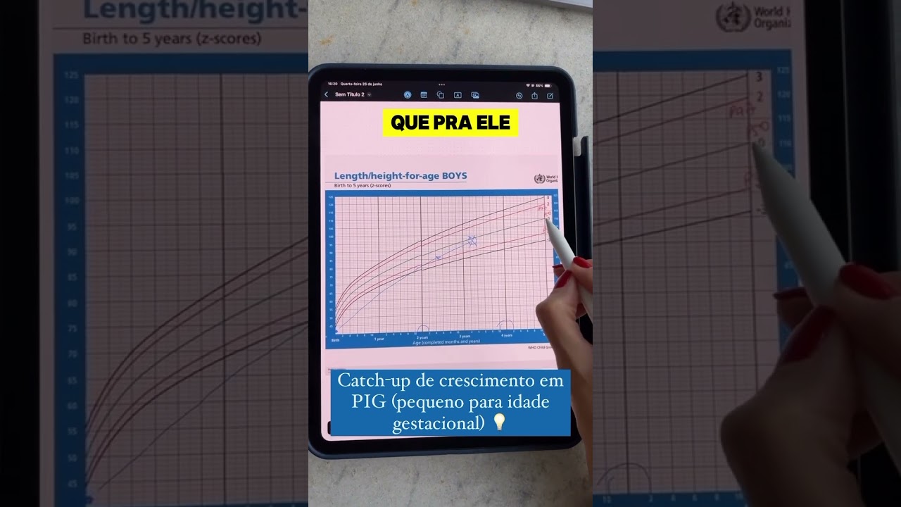 Maria Paula Bandeira-20