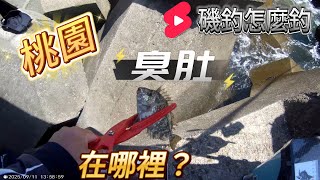 桃園｜大潭出水口南面! 釣到沒地方去了,只有這邊釣的到魚!#磯釣怎麼釣 #班頭 #黑格 #臭肚 #黏巴達釣餌