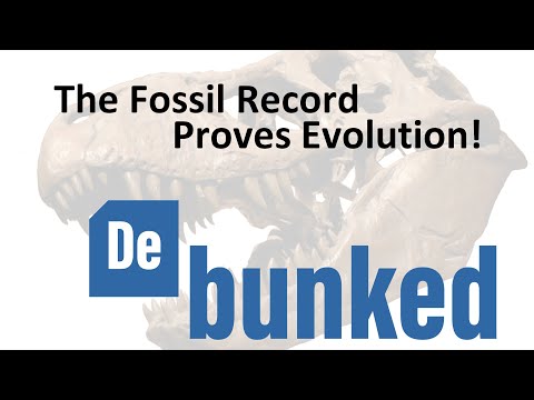 Debunking The Fossil Record Proves Evolution! | Carl Kerby | Reasons for Hope