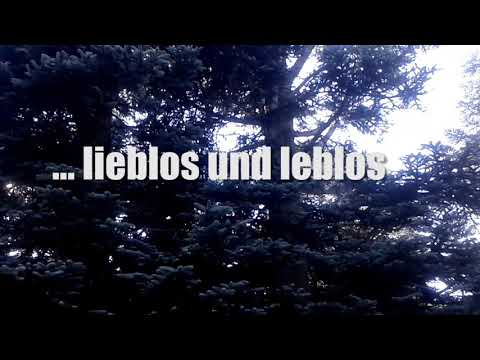 BSK Olympia Neugablonz Gemeinsam für ein Trainingsgelände neben unserem schönen Waldstadion