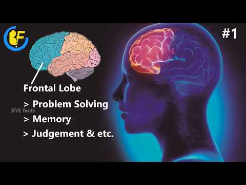 Mind illusion, Reason behind the illusions || Best blowing optical illusion