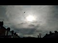 Kristin Hersh - 'Silver sun' sunrise & high ripply cloud... backyard sky timelapse
