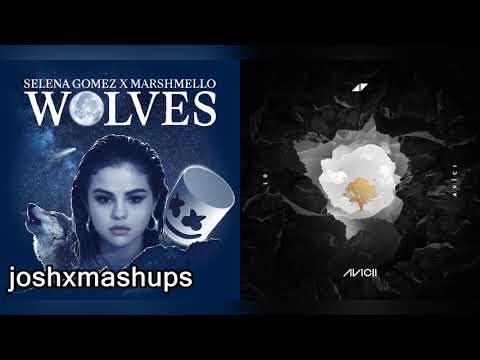 Without Wolves | Selena Gomez & Marshmello x Avicii & Sandro Cavazza
