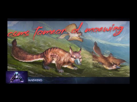 Como tamear y encontrar al maewing ARK genesis 2 /ps4/ps5/xbox/pc