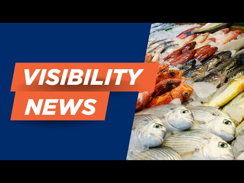 VISIBILITY NEWS UPDATE