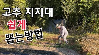 고추 지주대 지지대 쉽게 뽑는 방법