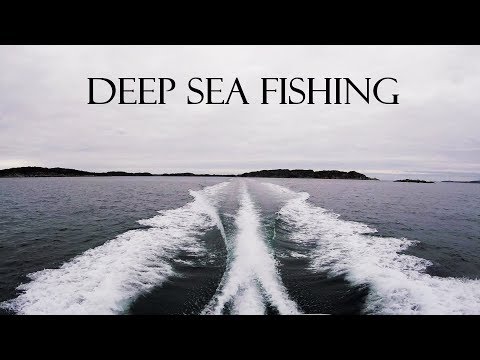 Winter Deep Sea Fishing Austevoll, Norway