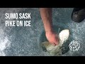 Video Thumbnail for Sumo Sask Pike on Ice