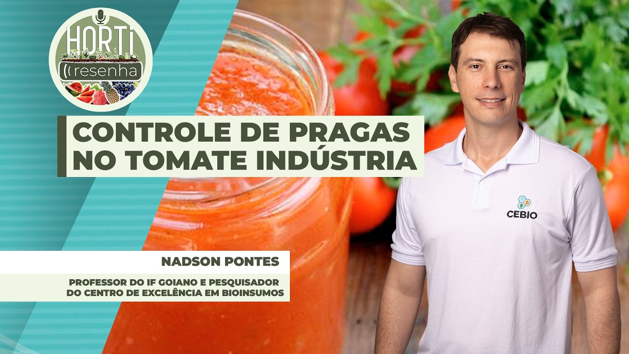 HORTI RESENHA #154 - Mosca-branca, tripes e pulgões ameaçam a produção de tomate para indústria