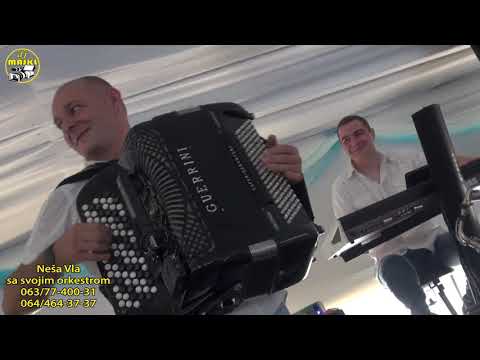 Muzicki Spomenar 4 - Neša Vla na svadbi u Starčevu