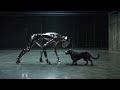 Anthony Rother - WE ARE FUTURISTS - (Directed by Timo Schlenstedt) - FUTURE KIDS