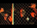 AVENGERS GRIMM FULL MOVIE 2015