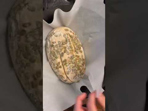 50% whole wheat sourdough loaf with 83% hydration and a coating of pepitas. #sourdough