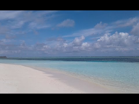 Beauty of nature #02