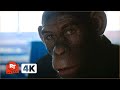 Better Man (2024) 4K - Something Beautiful Scene | Movieclips