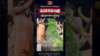 Maha Shivaratri Status Video | Bhakthi TV WhatsApp Status Video | Shivaratri Status Video