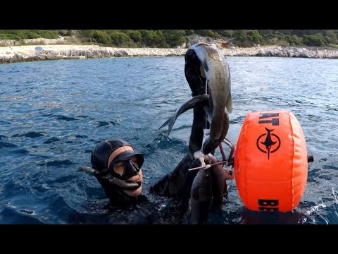 Podvodni ribolov u Hrvatskoj