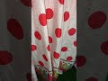 STOCK CLEARANCE Whts App 9878864250 Viralvideo