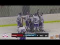 Lawrence Tech Hockey D1 vs Concordia | Highlights 2/18/22