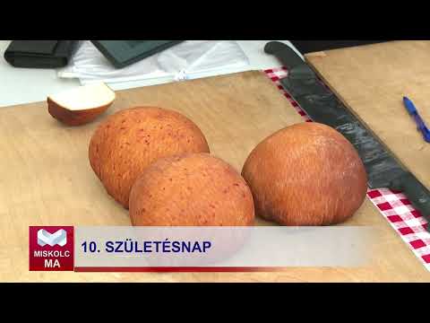 Videó előnézet