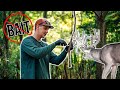 How To Make Mock Scrapes Bucks Can T Resist
