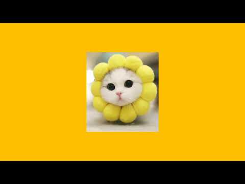 Flowers (sped up & pitched)