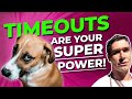 Timeout For Dogs The Number 1 Tool For Disciplining Dogs