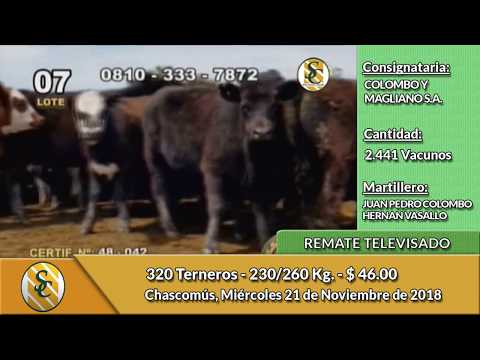 21-11-18 - Remate Televisado de COLOMBO Y MAGLIANO S.A. -  Chascomús