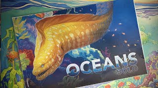 Oceans video thumbnail