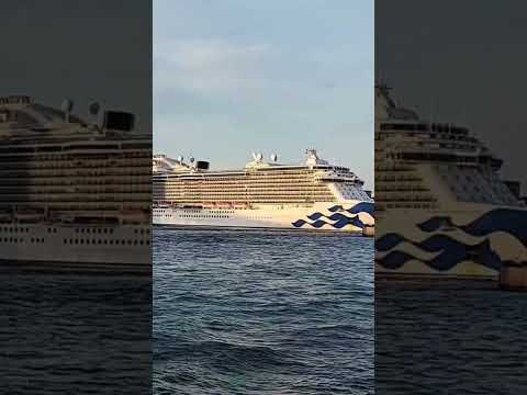 Thumbnail for majestic Princess love boat horn from my 15th cruise filmed by my lovely girlfriend