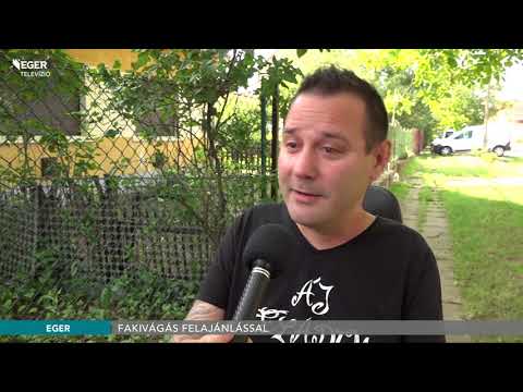 Fakivágás felajánlással a Lajosvárosban - 2018.07.02.