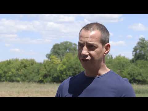 Uzgoj ANGUS GOVEDA u Novom Slankamenu - U nasem ataru 963