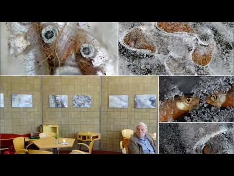 Expositie Theehuis Selwerderhof Groningen