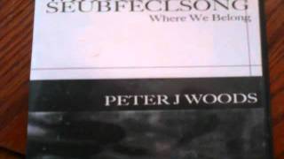 Peter J Woods-Broken Cirular Logic