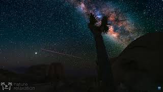 Fleetwood Mac -  Planets Of The Universe Previously Unissued Early Demo