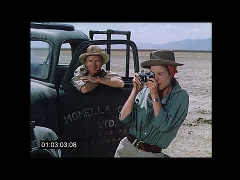 Hatari! (Production Short) 1962  "Big Game Hunters Without Guns" John Wayne Directed by Howard Hawks