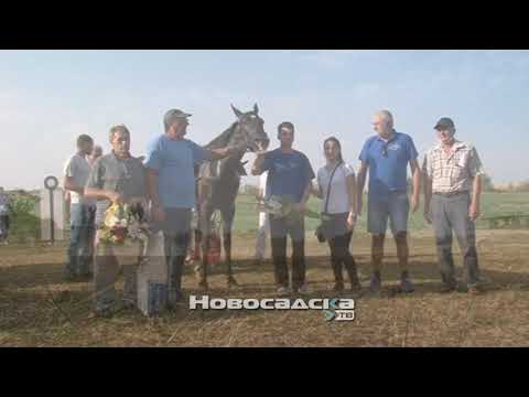 Konjičke trke u Žablju