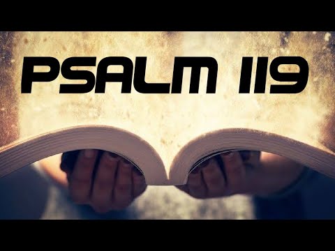 Psalm 119. 17th Sunday in Ordinary Time